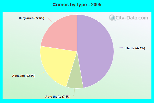 Crimes by type - 2005