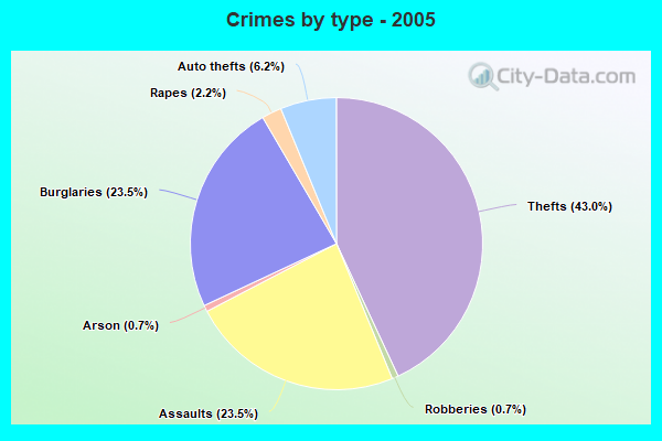 Crimes by type - 2005