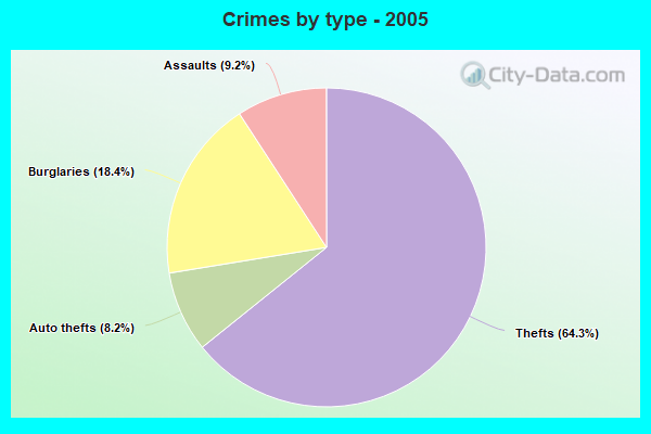 Crimes by type - 2005