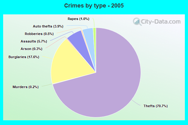 Crimes by type - 2005