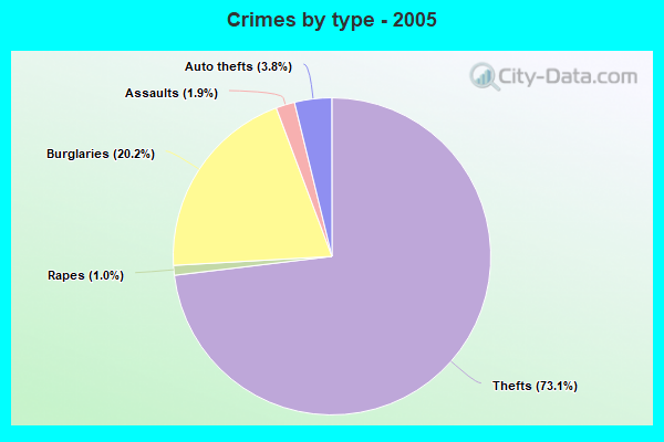 Crimes by type - 2005