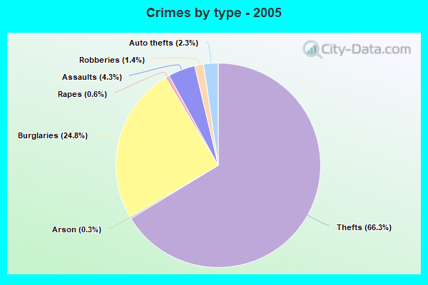 Crimes by type - 2005