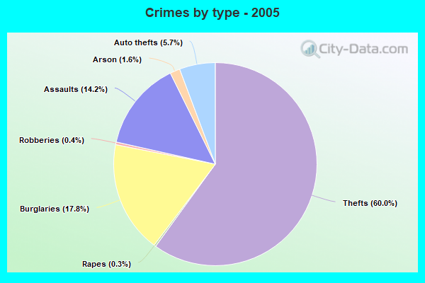 Crimes by type - 2005