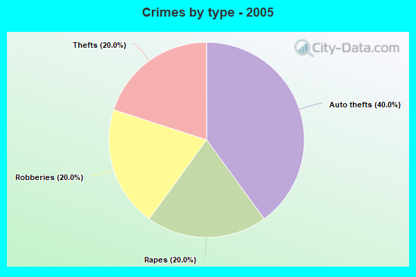 Crimes by type - 2005