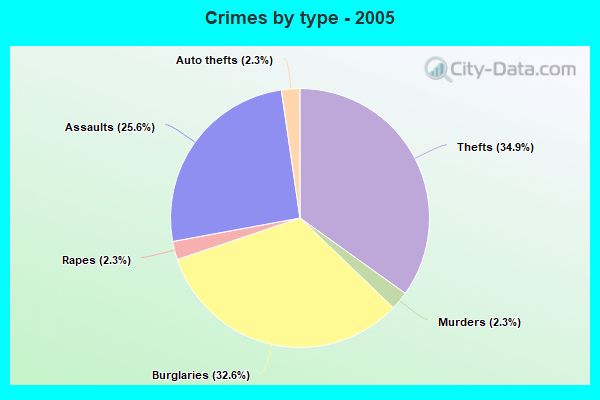 Crimes by type - 2005