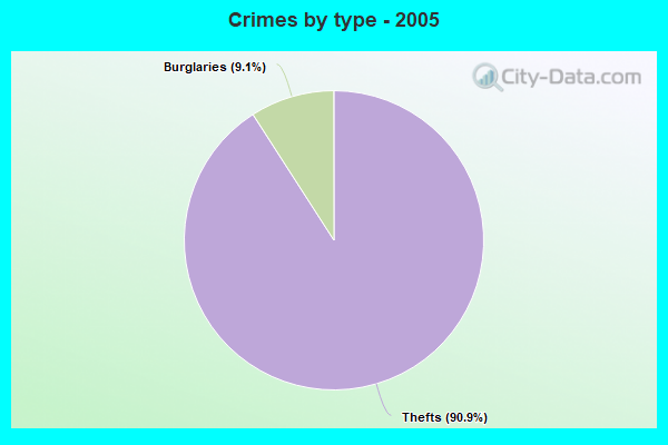 Crimes by type - 2005