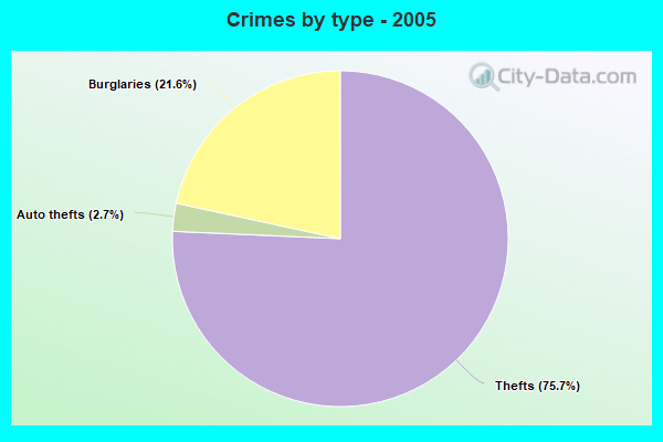 Crimes by type - 2005