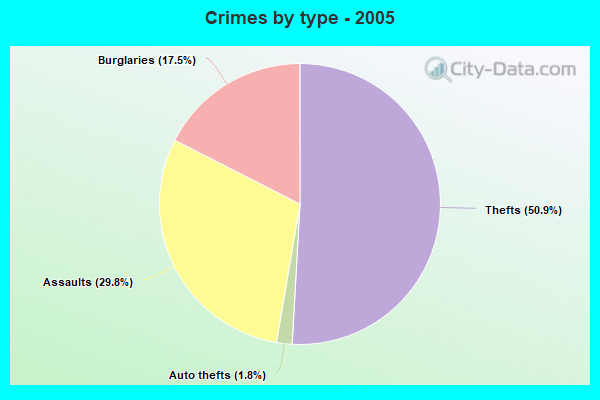 Crimes by type - 2005