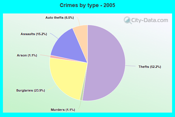 Crimes by type - 2005