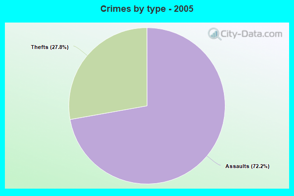 Crimes by type - 2005