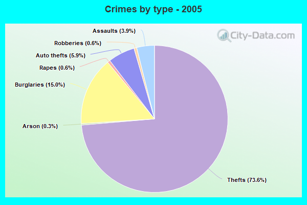 Crimes by type - 2005