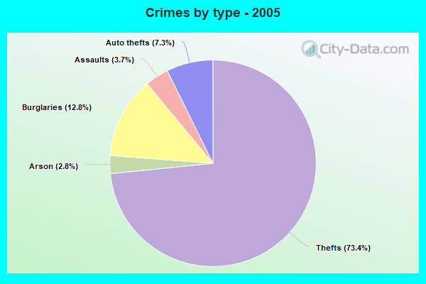 Crimes by type - 2005