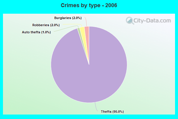 Crimes by type - 2006