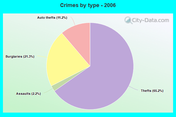 Crimes by type - 2006