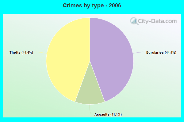 Crimes by type - 2006