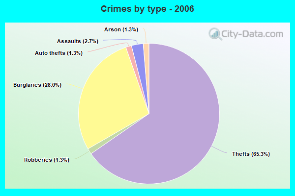 Crimes by type - 2006