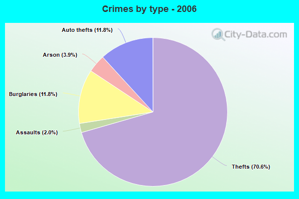 Crimes by type - 2006