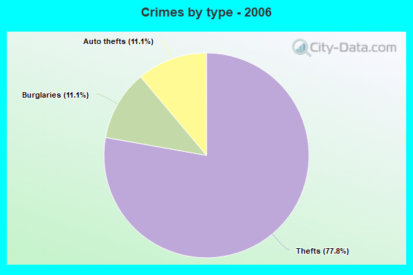 Crimes by type - 2006