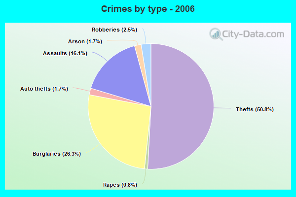 Crimes by type - 2006