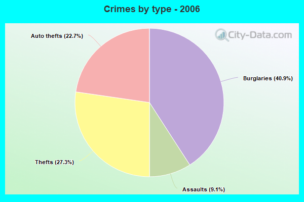 Crimes by type - 2006