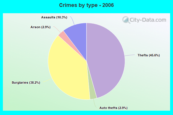 Crimes by type - 2006