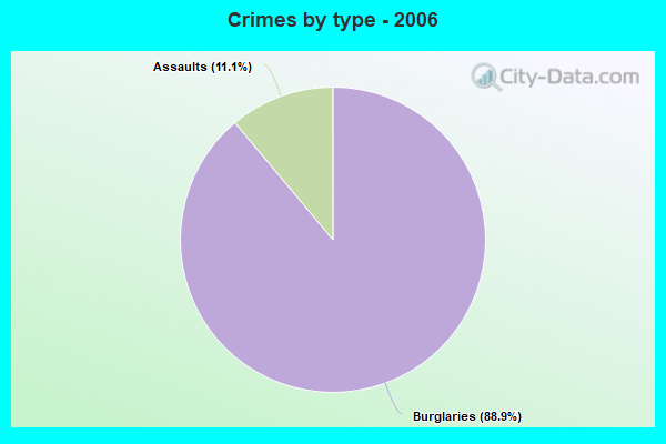 Crimes by type - 2006