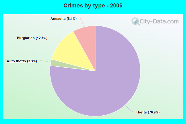 Crimes by type - 2006