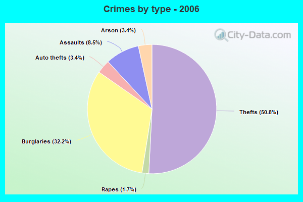 Crimes by type - 2006