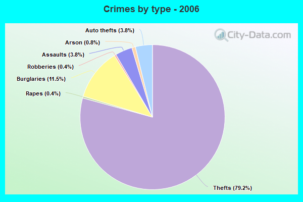 Crimes by type - 2006