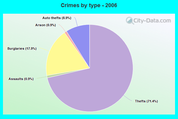 Crimes by type - 2006