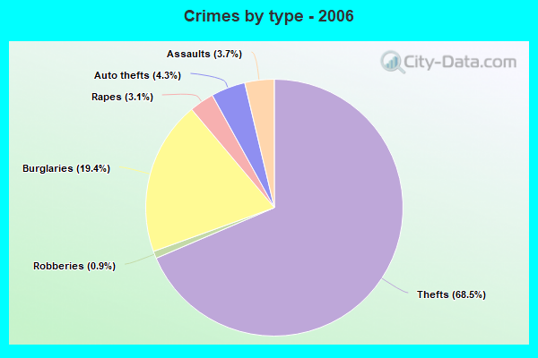 Crimes by type - 2006