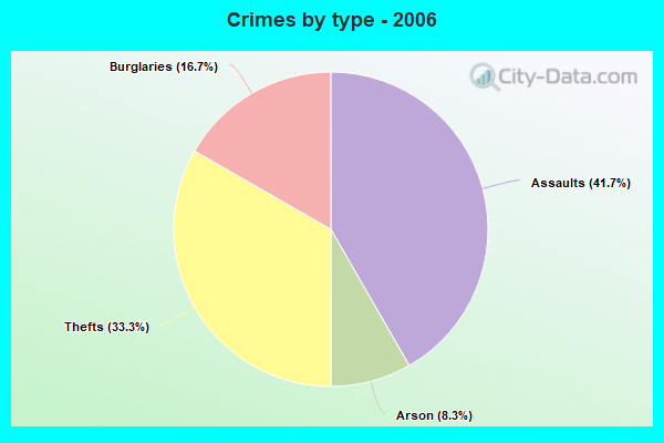 Crimes by type - 2006