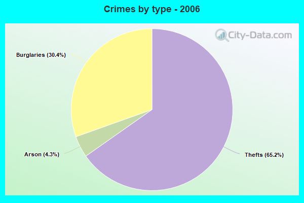 Crimes by type - 2006