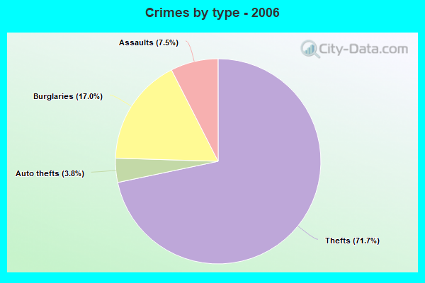 Crimes by type - 2006