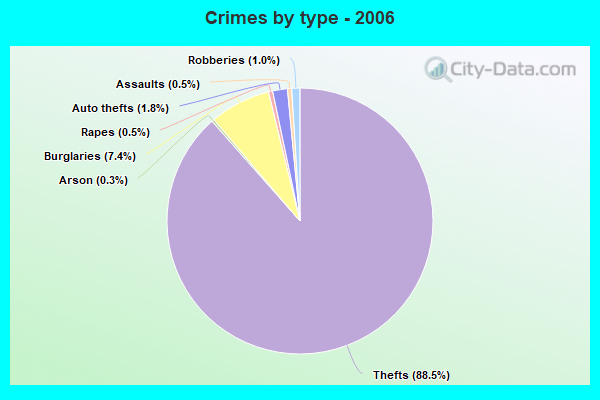 Crimes by type - 2006