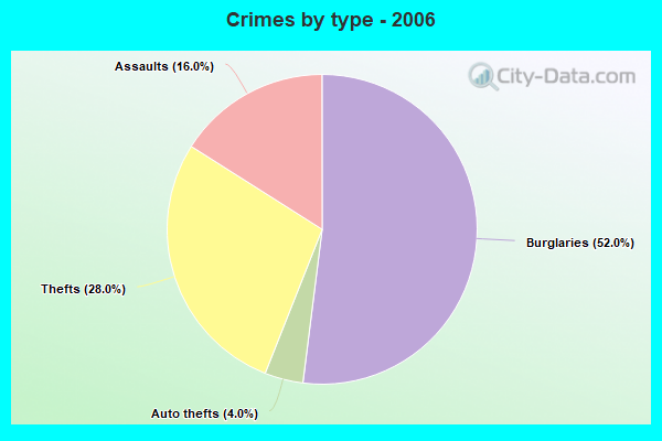 Crimes by type - 2006