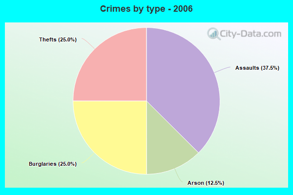 Crimes by type - 2006