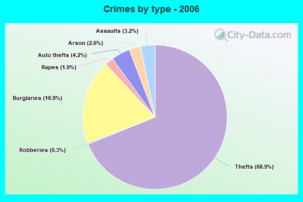 Crimes by type - 2006