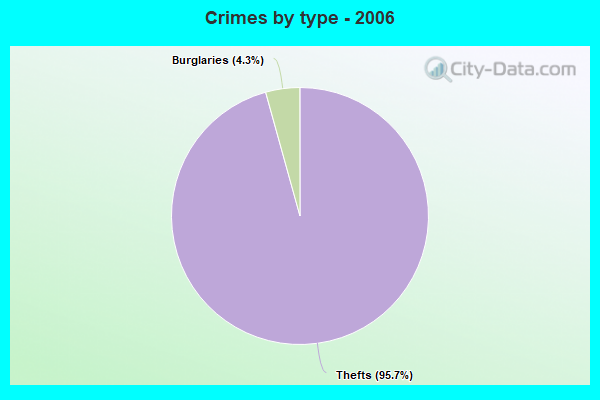 Crimes by type - 2006