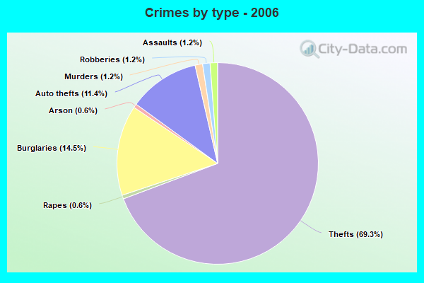 Crimes by type - 2006