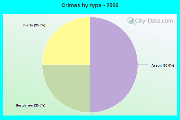 Crimes by type - 2006