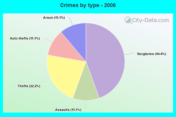 Crimes by type - 2006