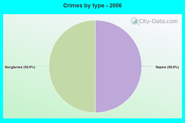 Crimes by type - 2006