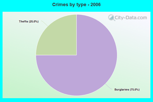 Crimes by type - 2006