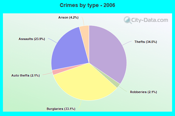 Crimes by type - 2006