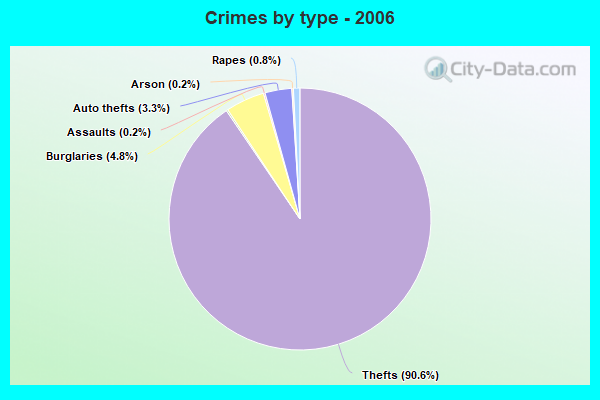 Crimes by type - 2006