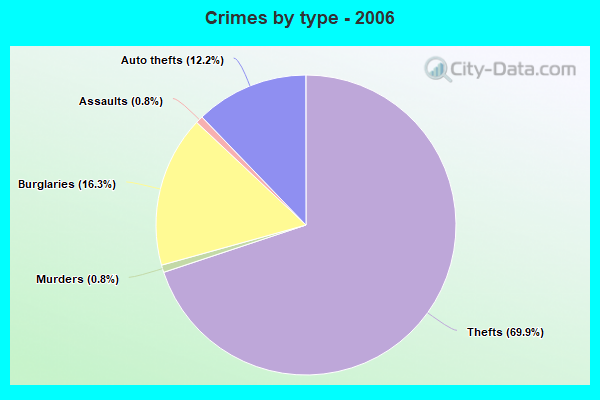 Crimes by type - 2006