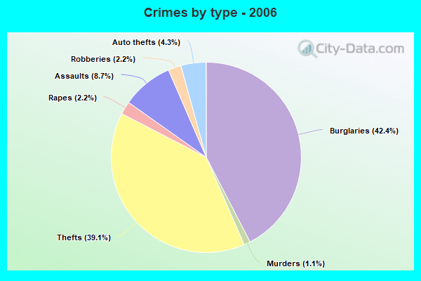 Crimes by type - 2006