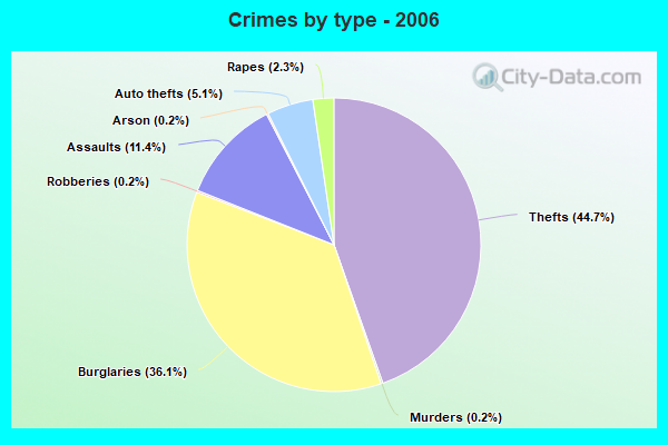 Crimes by type - 2006