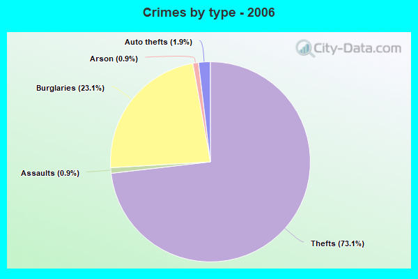 Crimes by type - 2006